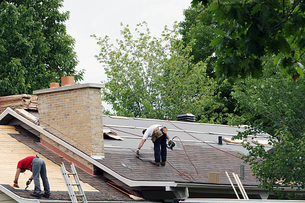 Best Roof Coating and Sealing  in Ambler, PA